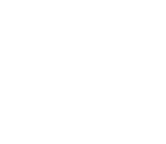 NSAA_white_logo