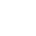 NSAA_white_logo